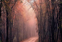 蒙彼利埃球队赴海外进行赛季前热身