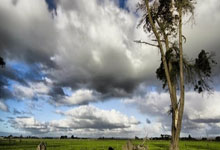 欧国联冠军赛风云再现，悬念紧扣球迷心