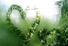 济南奥体目击武里南联胜利