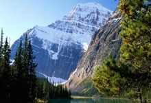 苏宁胜沪上对手：豪取三分领跑积分榜